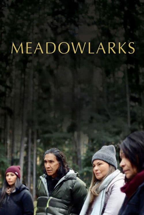Meadowlarks 2025