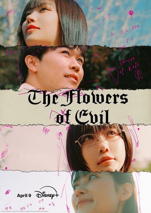 The Flowers of Evil 2026