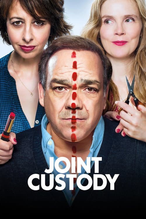Joint Custody 2017