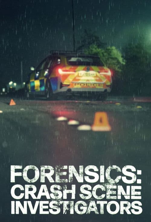Forensics: Crash Scene Investigators 2025